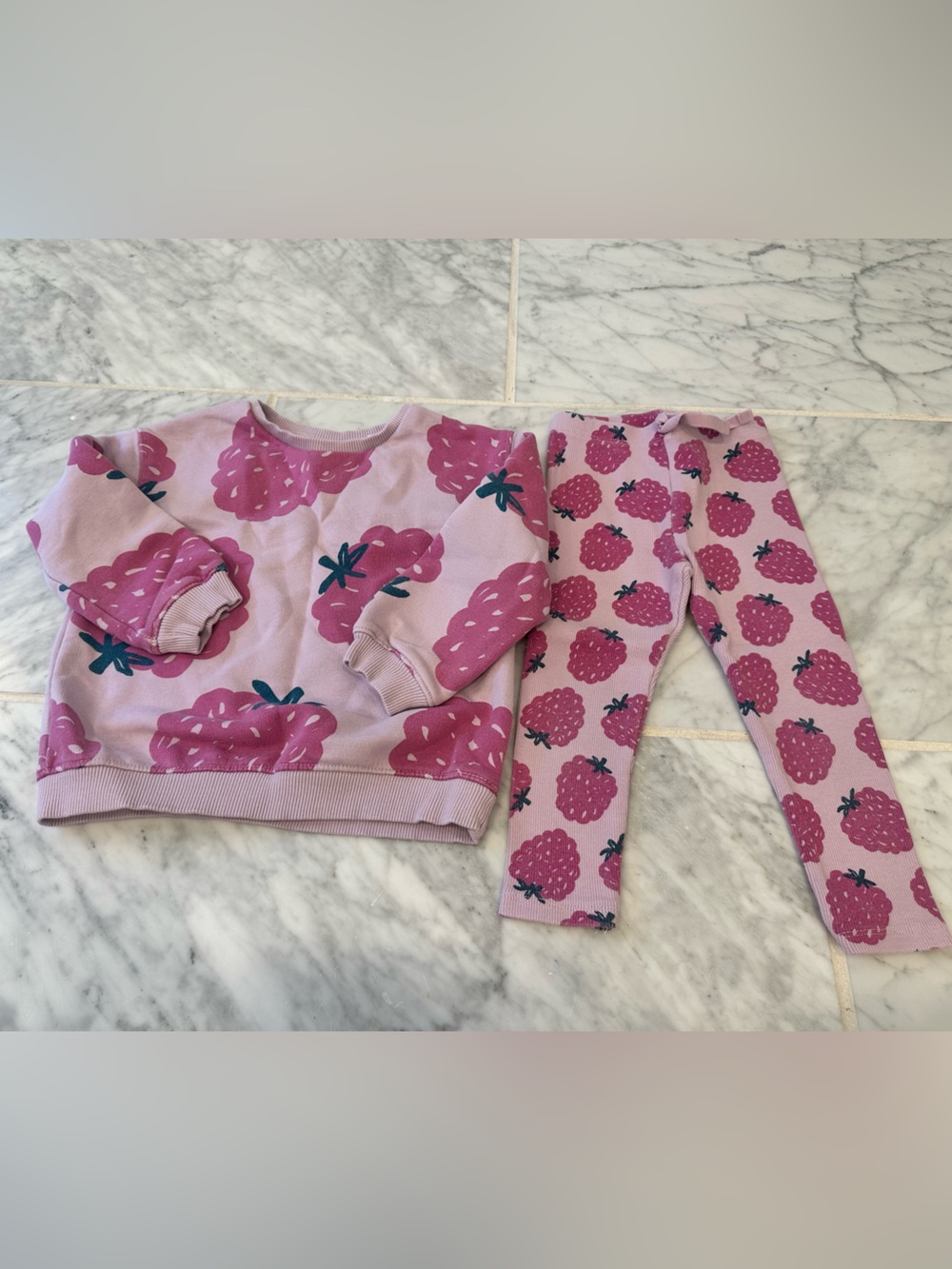 Zara Pink Raspberry Print Leggings and Sweatshirt Set